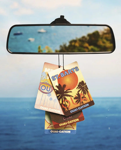 OUAI-CATION Air Fresheners - 4 Pack