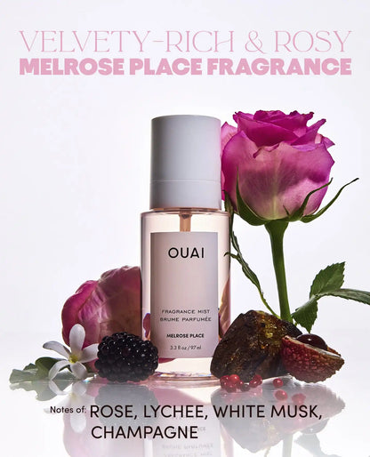 OUAI-CATION Air Fresheners - 4 Pack