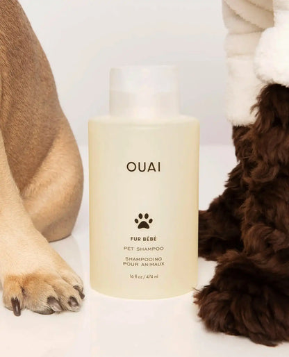 Fur Bébé
