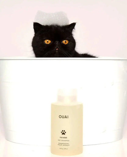 Fur Bébé