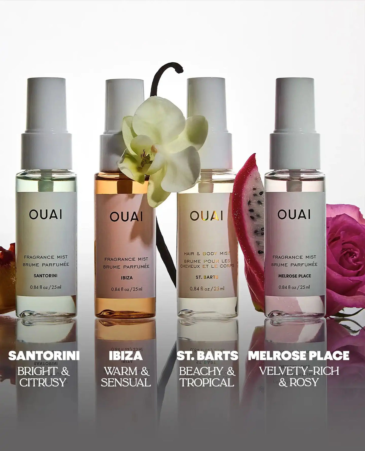 Instant OUAI-Cation Kit